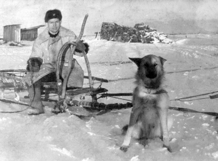 Пограничник на собачьей упряжке.
Камчатка, 1960-е гг.