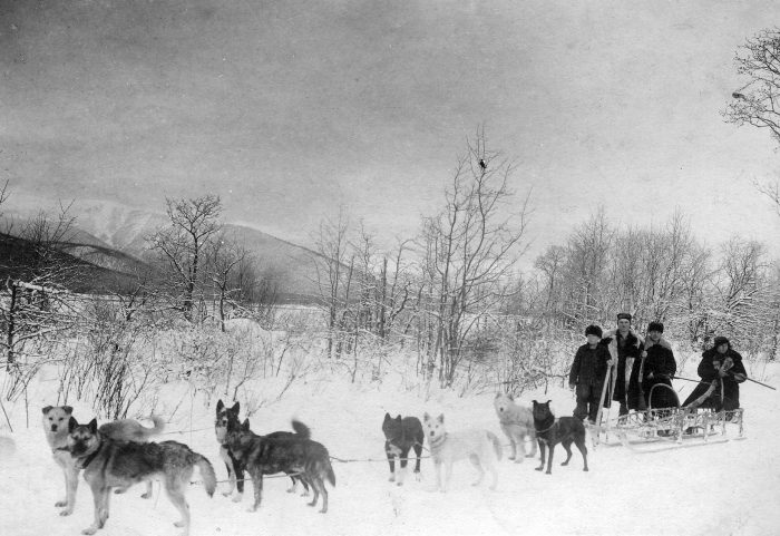 Охотники на собачьей упряжке.
Камчатка, 1940 г.