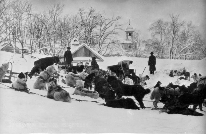 Собачья упряжка на фоне собора.
Петропавловск, 1920-е гг.